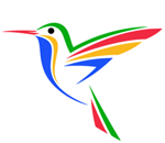 Google Hummingbird Graphic